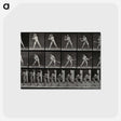 1-56_Eadweard-Muybridge_postcard