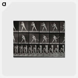アートポストカード-Batter Up
 - エドワード マイブリッジ Postcard.