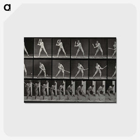 1-56_Eadweard-Muybridge_postcard