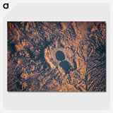 1-56_Earth-from-Above_picture-crop
