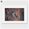 1-56_Earth-from-Above_picture