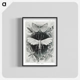 1-56_Ernst-Haeckel_blk-crop