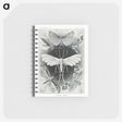 1-56_Ernst-Haeckel_memo