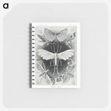 1-56_Ernst-Haeckel_memo