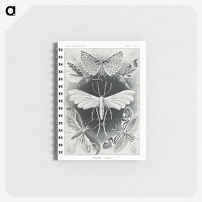 1-56_Ernst-Haeckel_memo