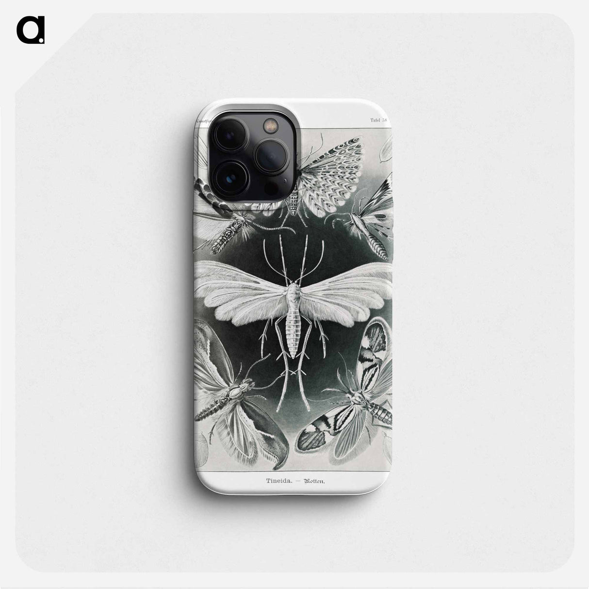 Tineida–Motten from Kunstformen der Natur - エルンスト ヘッケル Phone Case.