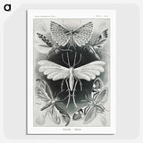 1-56_Ernst-Haeckel_picture-crop