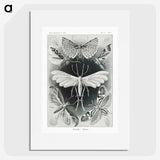 1-56_Ernst-Haeckel_picture