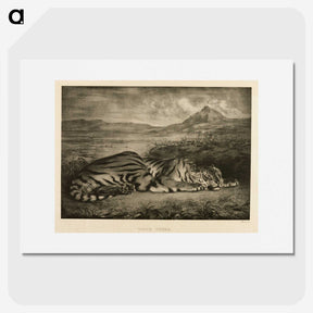 1-56_Eugene-Delacroix_picture