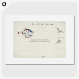 1-56_Frank-Edward-Clarke_picture