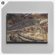 1-56_Gerrit-Willem-Dijsselhof_canvas