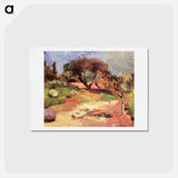 アートポストカード-Corsican Landscape - アンリ マティス Postcard.