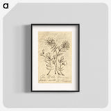 1-56_Henri-Rousseau_blk