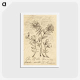 1-56_Henri-Rousseau_hagaki