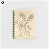 1-56_Henri-Rousseau_memo