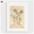 1-56_Henri-Rousseau_picture