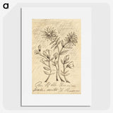 1-56_Henri-Rousseau_picture