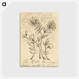1-56_Henri-Rousseau_postcard