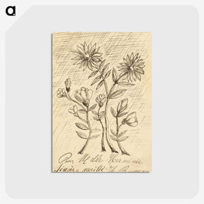 1-56_Henri-Rousseau_postcard