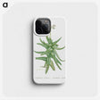 1-56_Histoire-des-Plantes-Grasses_phone