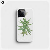 1-56_Histoire-des-Plantes-Grasses_phone