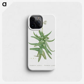1-56_Histoire-des-Plantes-Grasses_phone