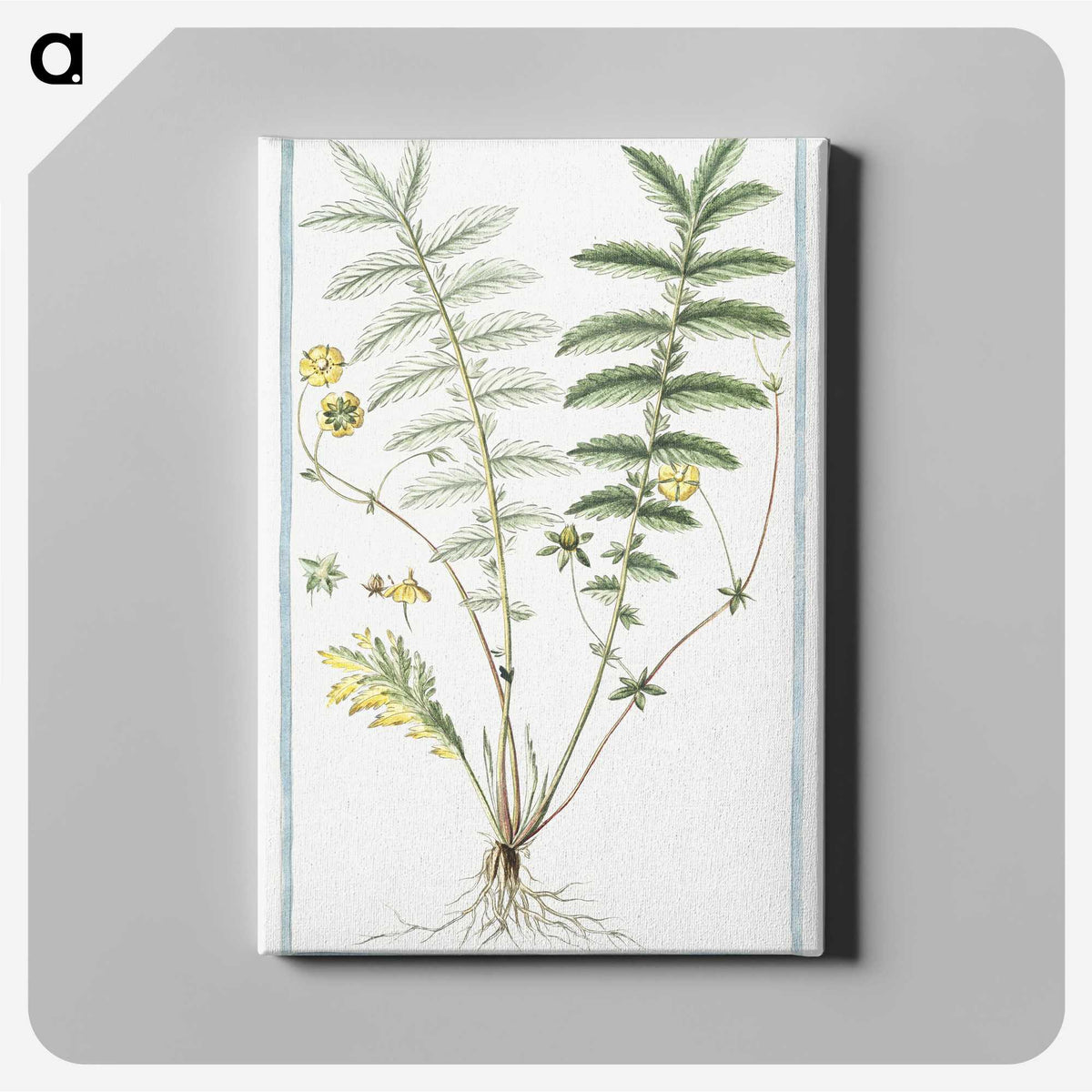 1-56_Hortus-Romanus-Botanical-Plates_canvas