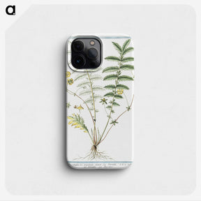 1-56_Hortus-Romanus-Botanical-Plates_phone