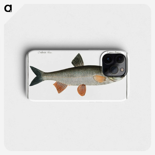 1-56_Ichtyologie-ou-Histoire-naturelle_phone