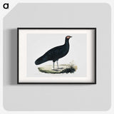 1-56_Indian-Zoology_blk