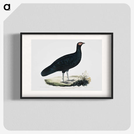 1-56_Indian-Zoology_blk