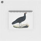 1-56_Indian-Zoology_memo