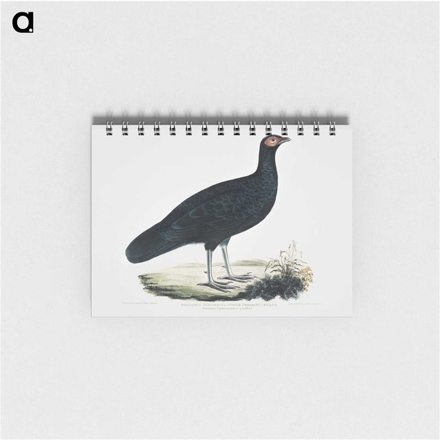 1-56_Indian-Zoology_memo