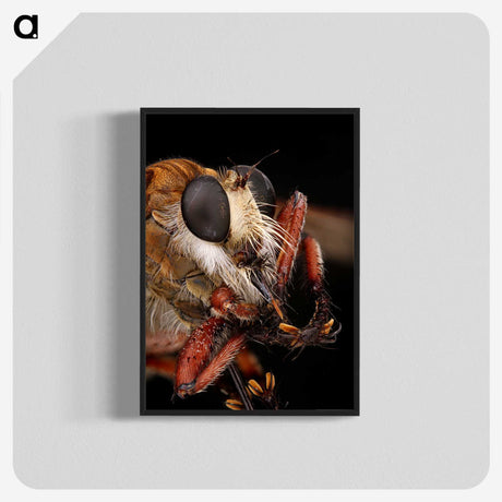 1-56_Insects-Unlocked-Project_blk-crop