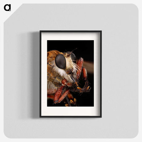 1-56_Insects-Unlocked-Project_blk