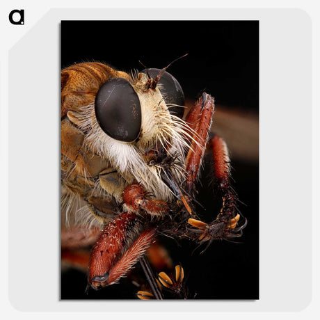 1-56_Insects-Unlocked-Project_picture-crop