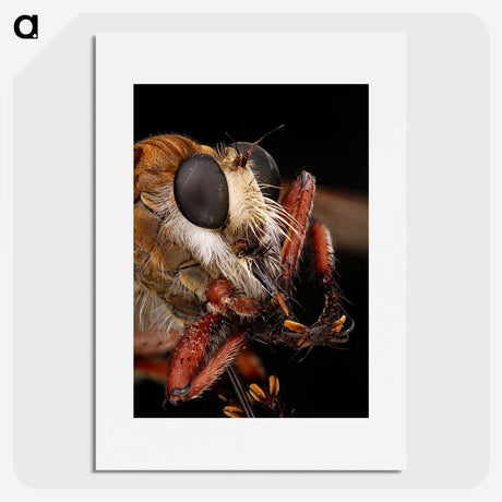 1-56_Insects-Unlocked-Project_picture