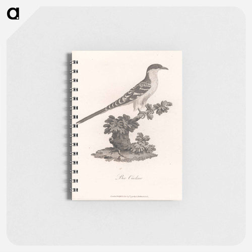 Bee Cuckoo
 - ジェームス ヒース Memo.