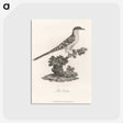 1-56_James-Heath_postcard