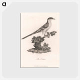 アートポストカード-Bee Cuckoo
 - ジェームス ヒース Postcard.