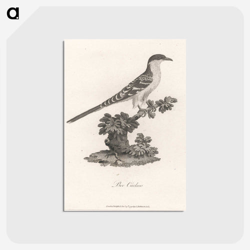 Bee Cuckoo
 - ジェームス ヒース Postcard.