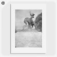 1-56_James-Walter-Chapman-Taylor_picture