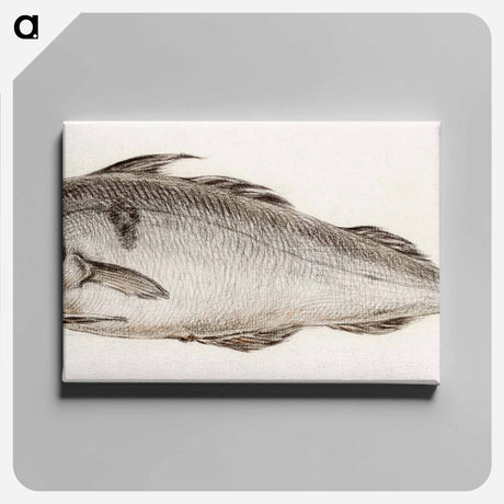 アートパネル-Fish - ジャン ベルナール Canvas.