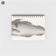 1-56_Jean-Bernard_memo