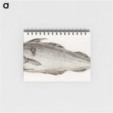 1-56_Jean-Bernard_memo