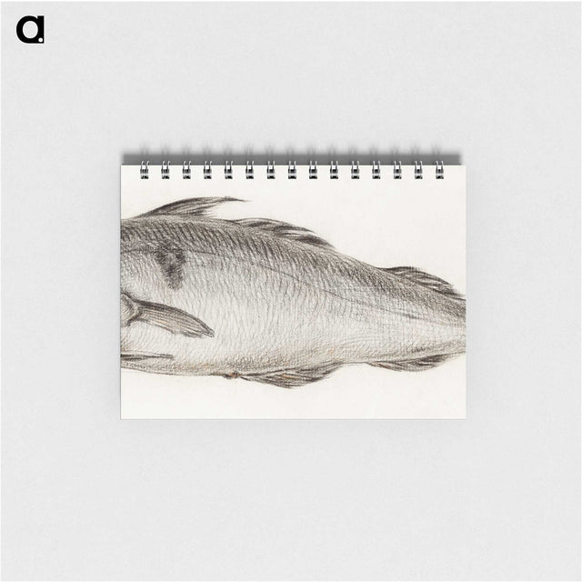 1-56_Jean-Bernard_memo
