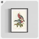1-56_John-Gould_blk