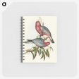 1-56_John-Gould_memo