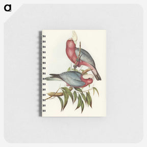 1-56_John-Gould_memo