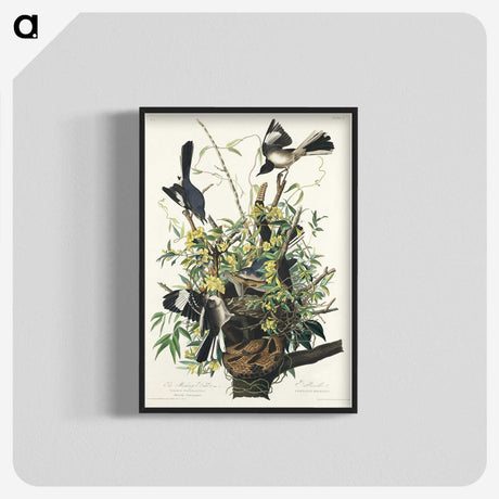 1-56_John-James-Audubon_blk-crop